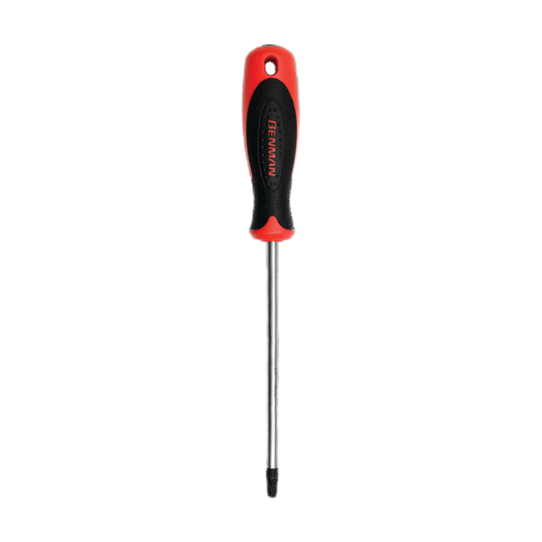 Screwdriver S/D Robertson 1 X 100 mm