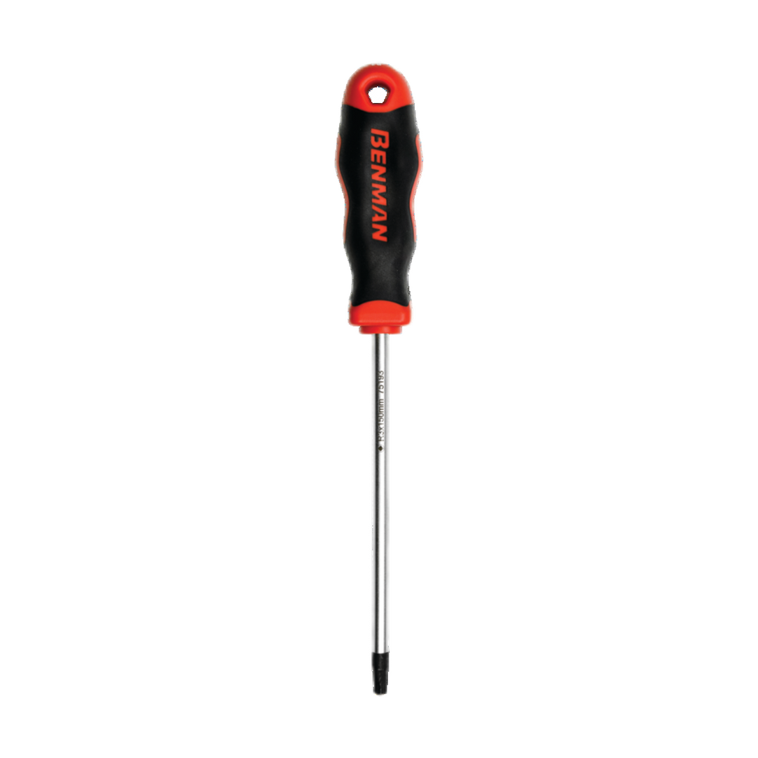 Screwdriver Pro S/D Robertson #1 X 100 mm